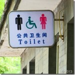 Chinese public toilet